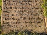 image of grave number 432490